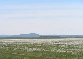 The Kazakh Steppe in the Ayagoz District, Kazakhstan.
