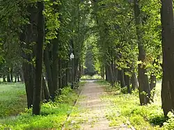 The park in Golovchino