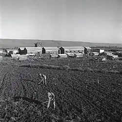 Beit Hillel 1944