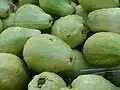 Guava after being picked from a plantation in Qalqilya