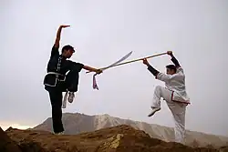 Image 22Kung fu in Iran (from Chinese martial arts)