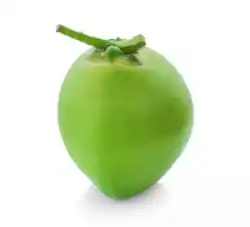 Bangladesh Congress Protic