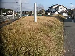 Remnants of earthworks