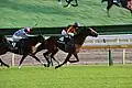 Cervinia winning the Artemis Stakes