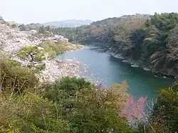 吉野川(栄山寺橋付近より)