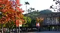 Autumn view of campus