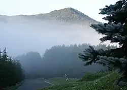 Mount Tomamu in the background, its peak coming up over a layer of fog, with trees, a small body of water, and a grassy area in the foreground