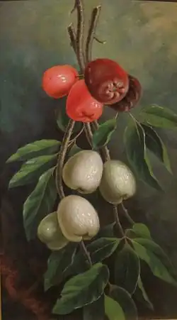 'Ōhi'a 'ai (c. 1880)