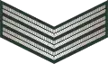 Sergeant (Sri Lanka Army)[94]