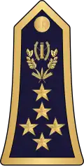 Général d'armée (Burkina Faso Army)[7]