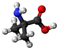 2-methylalanine molecule