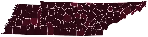 Final results by county