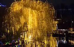 Tivoli Gardens lake tree