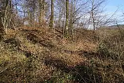 The side of the Buissons-Brûlé mine slag heap.
