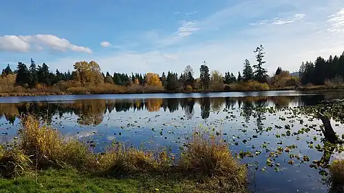 A small lake