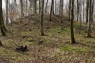 The slag heap at shaft no. 4