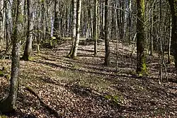 Slag heap from pit No. 3.