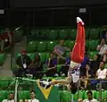 Performed by a young gymnast during at the 2019 Junior World Artistic Gymnastics Championships