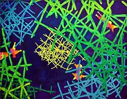 Hummingbirds in the Rainforest (2006)