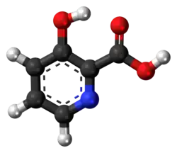 Ball-and-stick model of the 3-hydroxypicolinic acid molecule