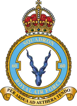 Squadron badge