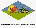 91st Strategic Reconnaissance Squadron