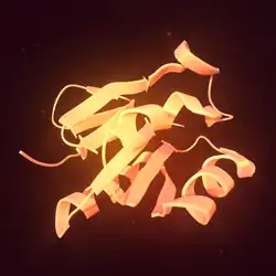 Image of AAMDC gene which encodes an AMDC or Adipogenesis Associated Mth938 Domain