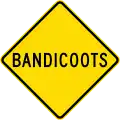 (MR-WDO-27) Bandicoots (used in Western Australia)