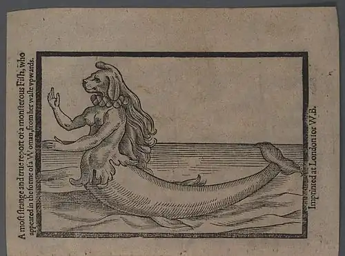 'A most strange and true report of a monstrous fish' Illustration from an early printed report of a Mermaid sighting, 1604
