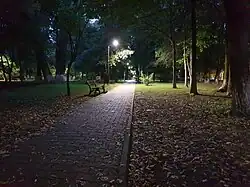 A night alley in Kiseleff Park