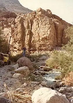 A rare stream in the desert