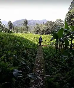 A separate structure inside the fortified walls.