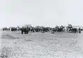 A train of ox-drawn carts leaving Trelew, c. 1880
