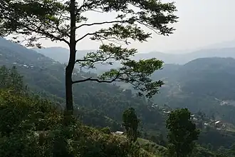 A view from Nagarkot hiking trail