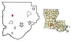 Location of Iota in Acadia Parish, Louisiana.