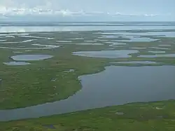 aerial view of tundra, with numerous small lakes dotting the ground