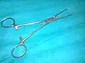 Allis tissue forceps