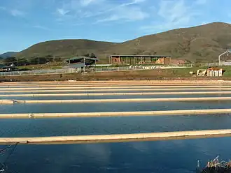 An anaerobic lagoon at California Polytechnic State University's dairy