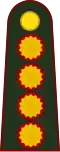 Teniente general[3] (Argentine Army)