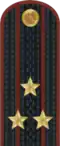 Lieutenant colonel
