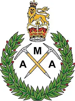 Army Mountaineering Association – colour