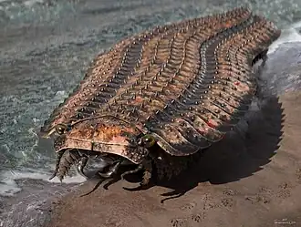 Arthropleura was a giant millipede that fed on the Carboniferous plants. At 8 ft (240 cm) long, it was the largest known terrestrial arthropod that ever lived.