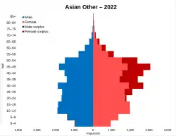 Asian: Other