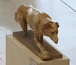 statue of a Statue of a hunting dog with Laconian characteristics found in the sanctuary of Artemis Brauronia on the Acropolis.