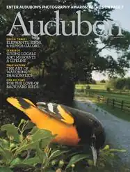 Cover of July–August 2012 edition of Audubon Magazine showing a Baltimore oriole beside a country road
