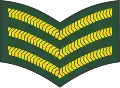 Sergeant (Barbados Regiment)[43]
