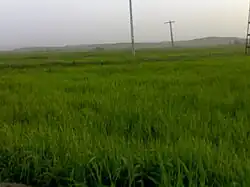 Balestan, East Azerbaijan