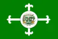 Flag of Pedranópolis