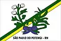 Flag of São Paulo do Potengi