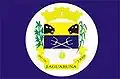 Flag of Jaguaruna